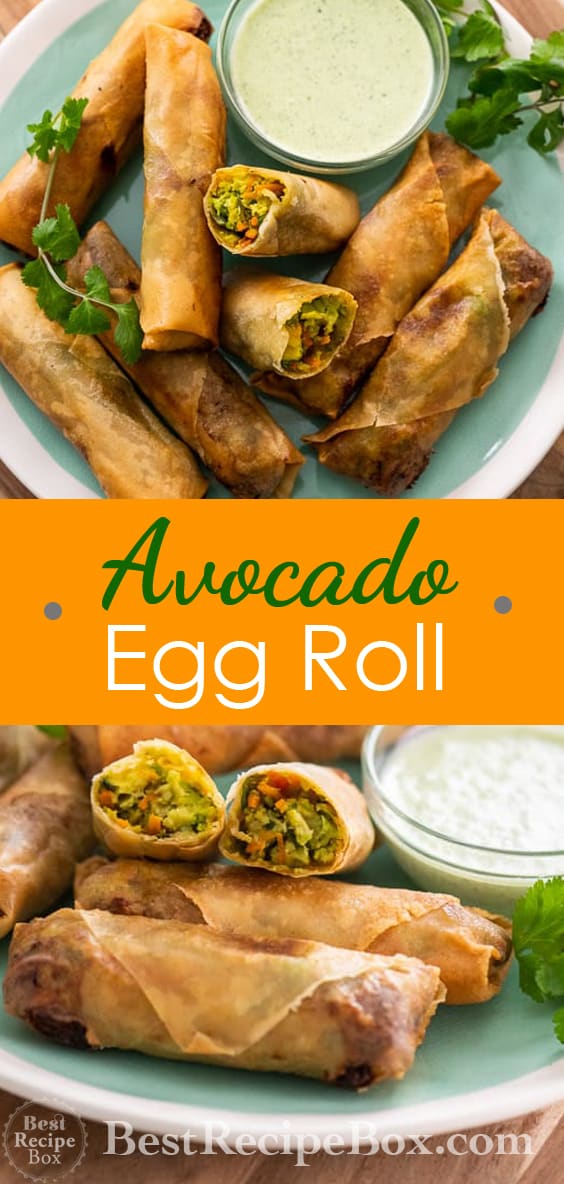 Avocado Egg Rolls Recipe or Guacamole Egg rolls Recipe @bestrecipebox