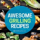 Grilled Meat, Chicken, Seafood, Pork and Vegetables on the BBQ | BestRecipeBox.com