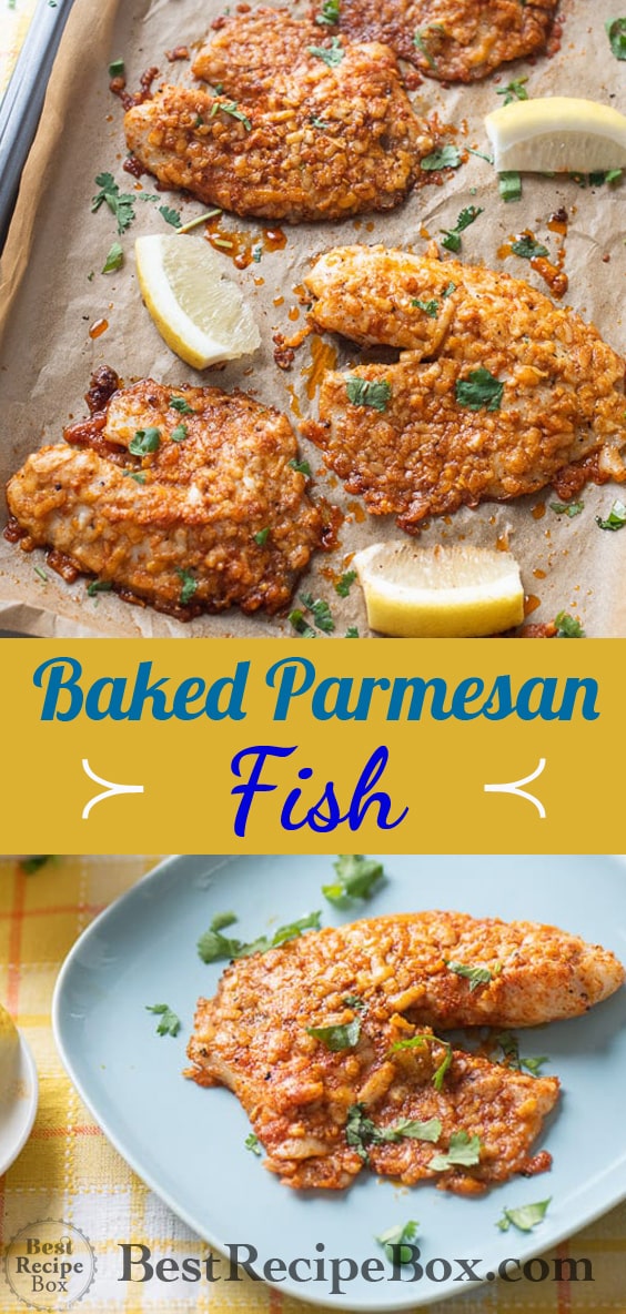 Baked Parmesan White Fish Recipe @bestrecipebox