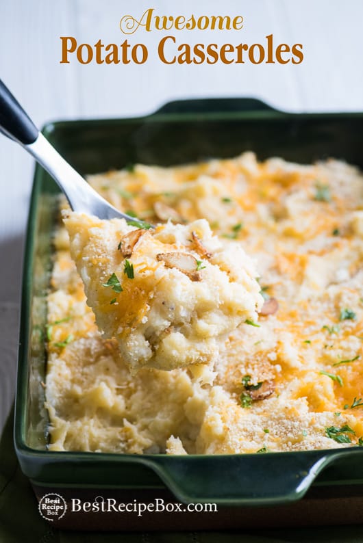 Awesome Potato Casseroles with spoon