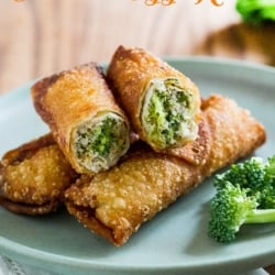 Broccoli and Cheese Chicken Egg Rolls are a family favorite! | @bestrecipebox