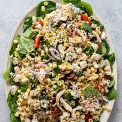 Big platter of pasta salad recipe with chicken, spinach and blue cheese by bestrecipebox.com