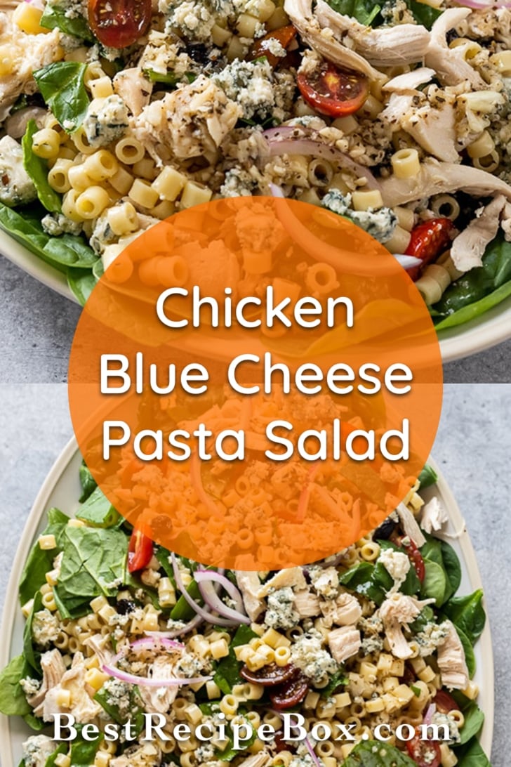 Chicken Spinach Blue Cheese Pasta Salad Recipe - BestRecipeBox.com