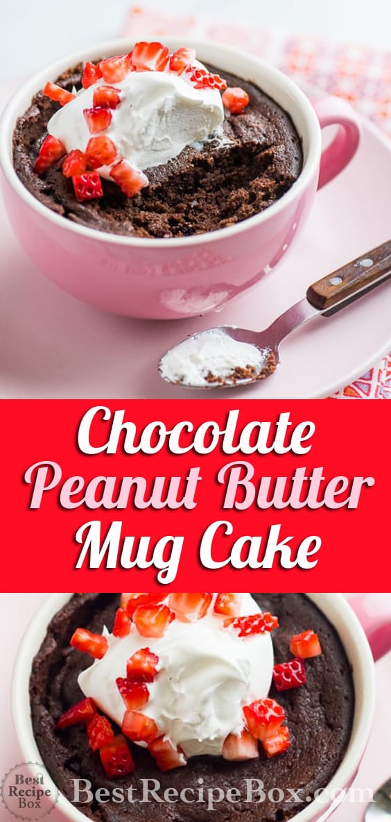 Chocolate Peanut Butter Mug Cake in 5 minutes! | @bestrecipebox