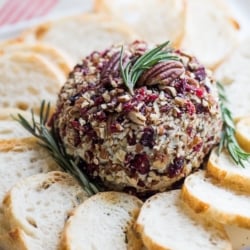 Cranberry Blue Cheese Ball for cheese ball appetizer platter | @bestrecipebox