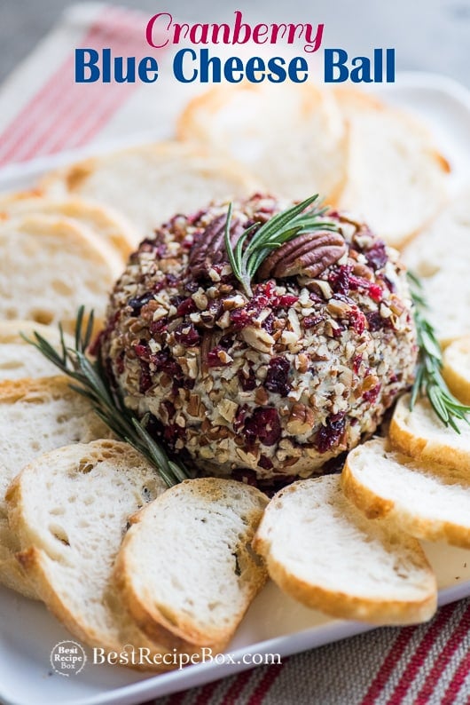 Cranberry Blue Cheese Ball for cheese ball appetizer platter on plate 