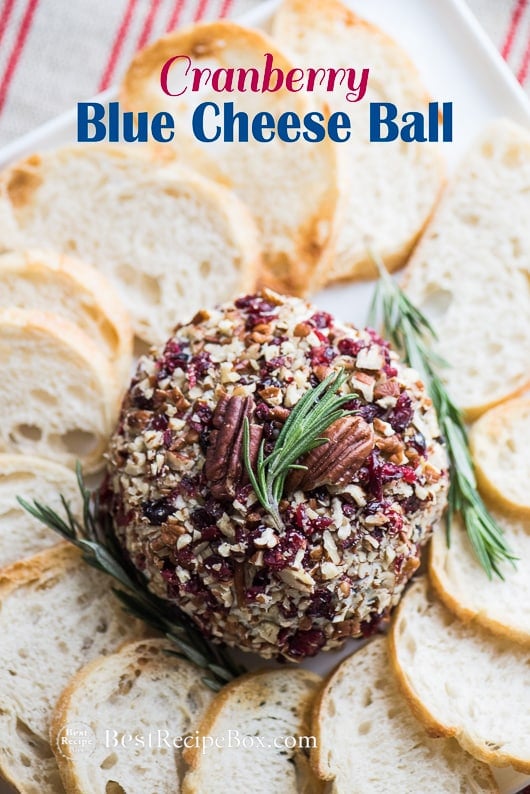 Cranberry Blue Cheese Ball for cheese ball appetizer platter on plate 