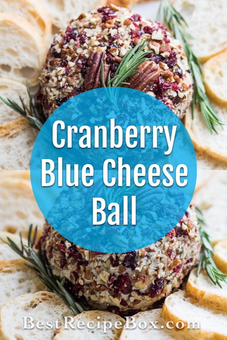 Cranberry Blue Cheese Ball for cheese ball appetizer platter | @bestrecipebox