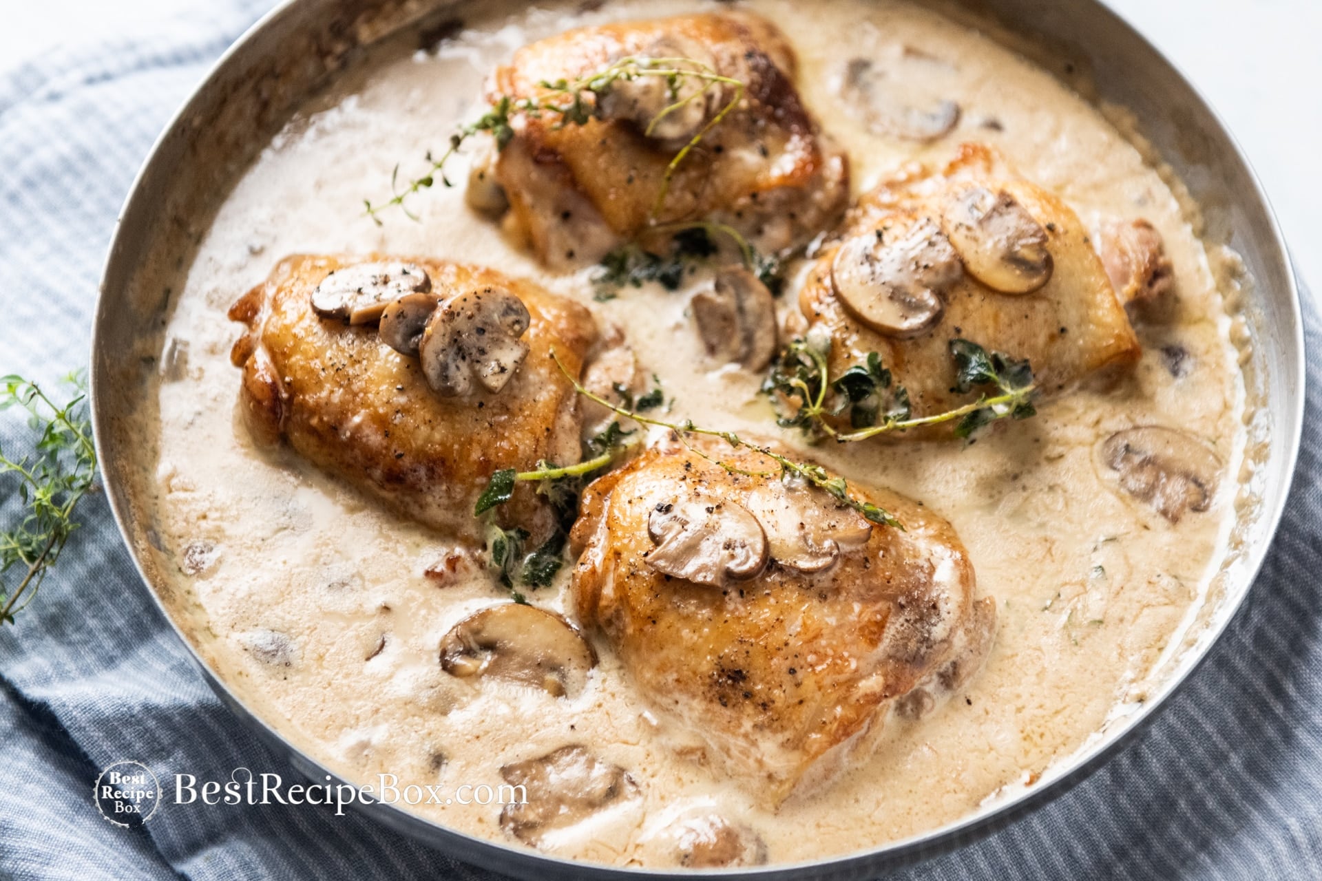 Chicken in Creamy Mushroom White Wine Sauce | Best Recipe Box