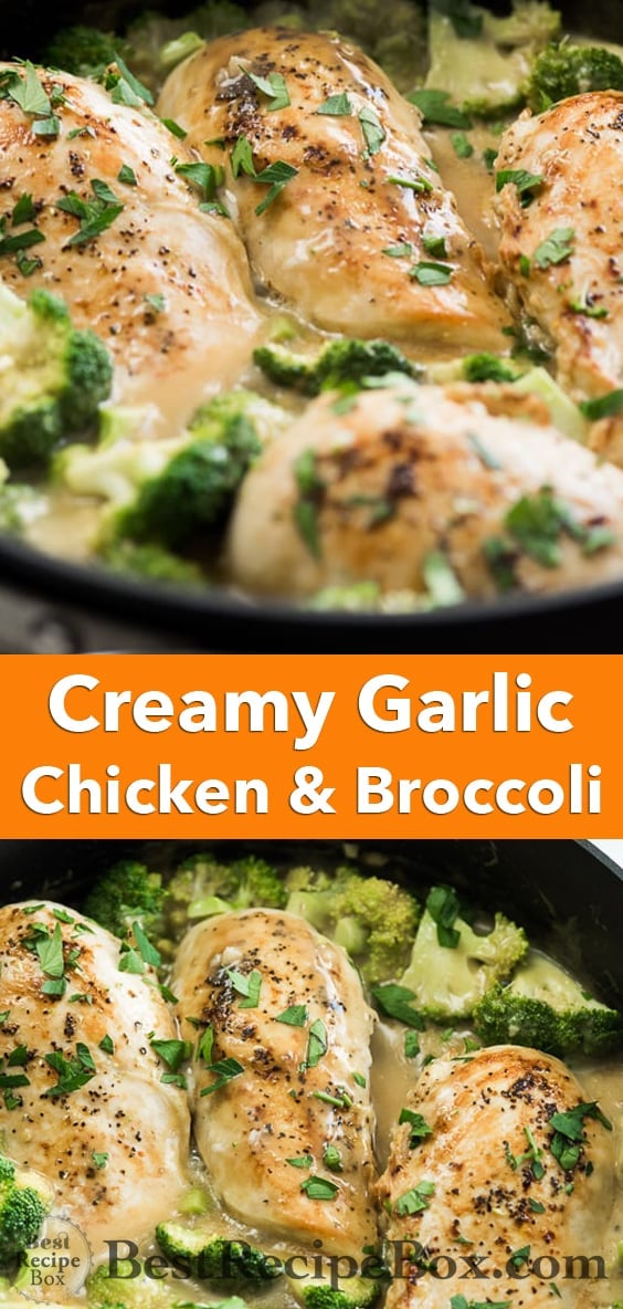 Skillet Creamy Garlic Chicken and Broccoli everyone will love! | @bestrecipebox