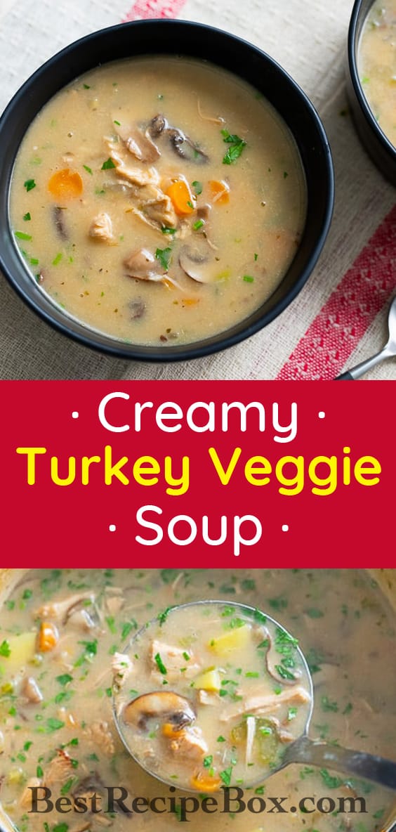 Creamy turkey vegetable soup or chicken soup recipe | BestRecipeBox.com