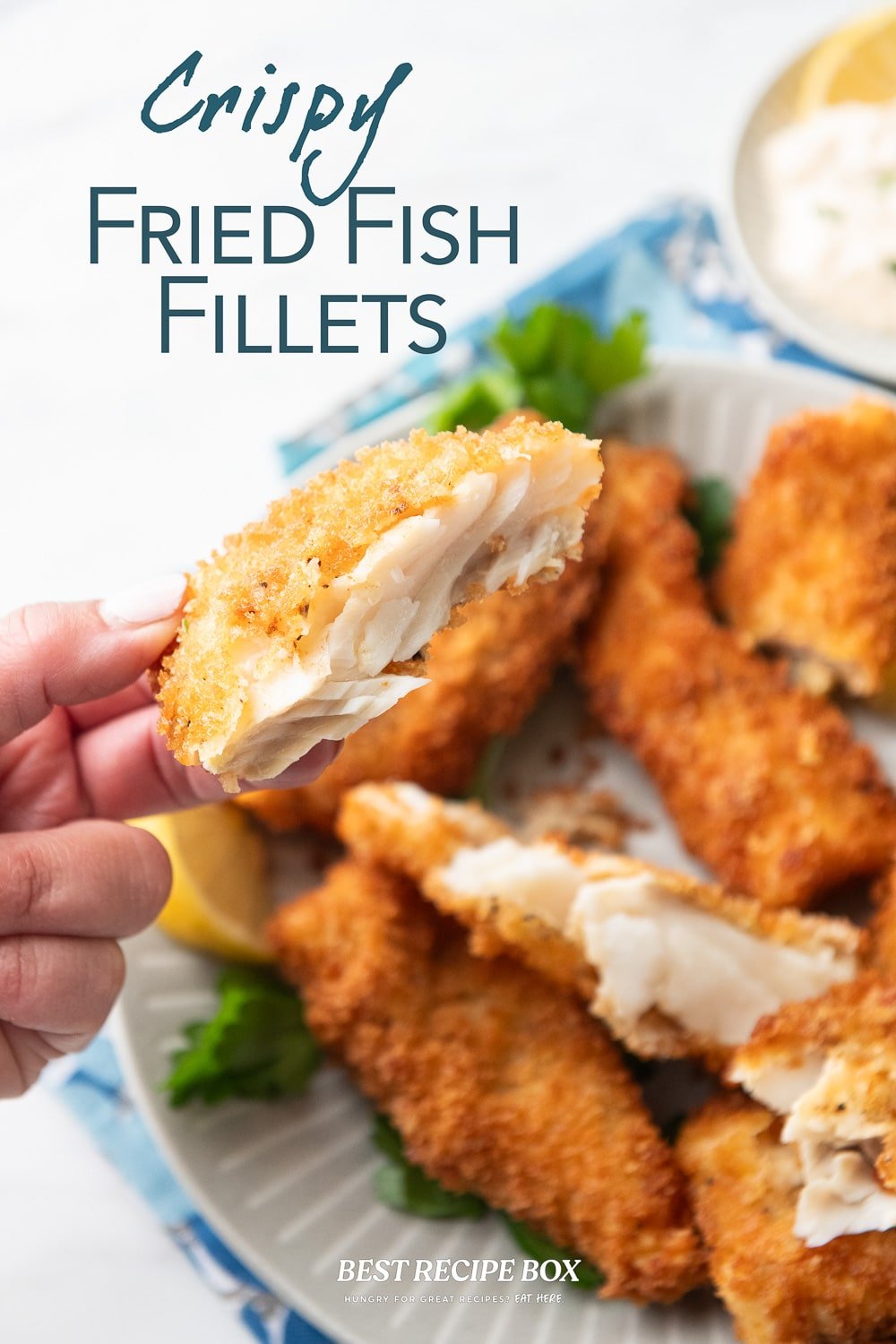 Fried Fish Fillets Recipe CRISPY With Panko | Best Recipe Box