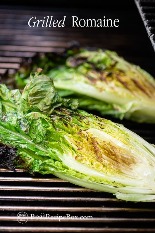 Grilled Romaine Salad Recipe for the Best Summer Salad Romaine Recipe on a grill