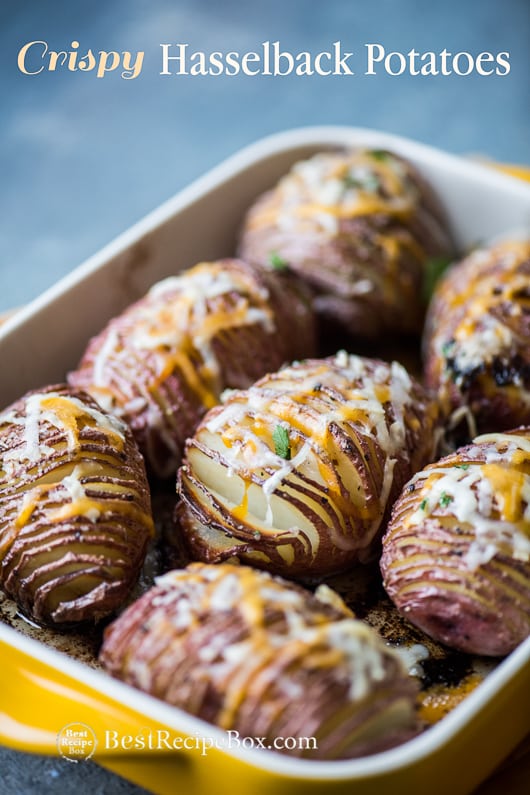 Roasted Hasselback Potatoes Recipe with Cheese