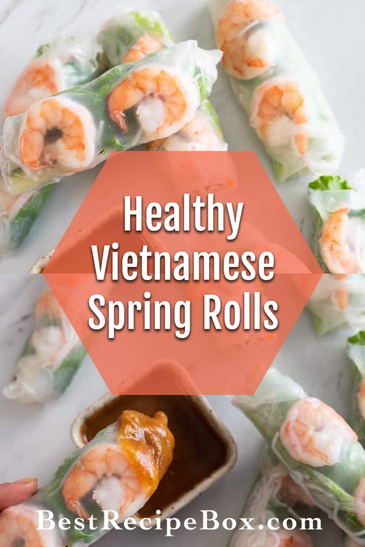 Vietnamese Fresh Shrimp Spring Rolls collage