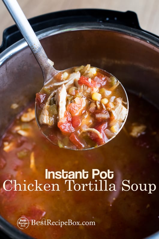 Instant Pot Chicken Tortilla Soup with ladle 