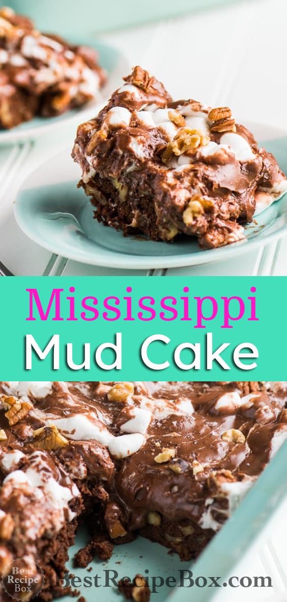 Mississippi Mud Cake Recipe aka Rocky Road Cake Recipe it's amazing! | @bestrecipebox
