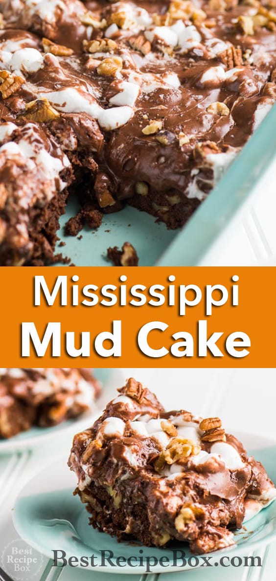 Mississippi Mud Cake Recipe aka Rocky Road Cake Recipe it's amazing! | @bestrecipebox