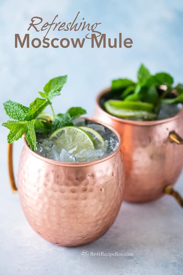 Best Moscow Mule Cocktail Recipe with Vodka, Ginger Beer in copper mugs