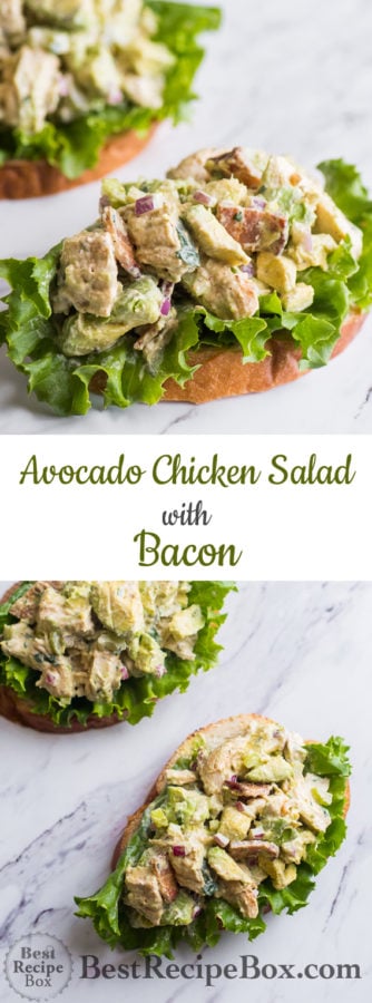 Avocado Chicken Salad Recipe with Bacon | Best Chicken Salad Recipe | @bestrecipebox