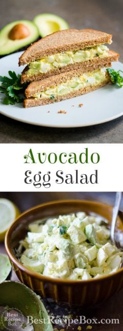 Avocado Egg Salad Recipe | @bestrecipebox
