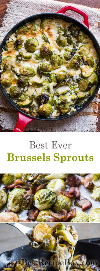 Best Ever Brussels Sprouts Recipes | @BestRecipeBox