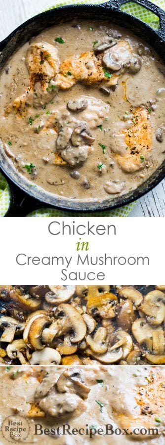 Skillet Chicken with Creamy Garlic Mushroom Sauce is the best chicken mushroom dinner! @bestrecipebox