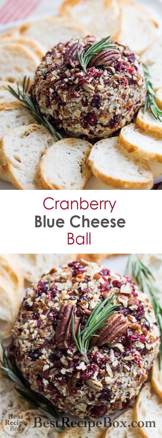 Blue Cheese Ball Recipe with Cranberries for Holidays Best Recipe Box