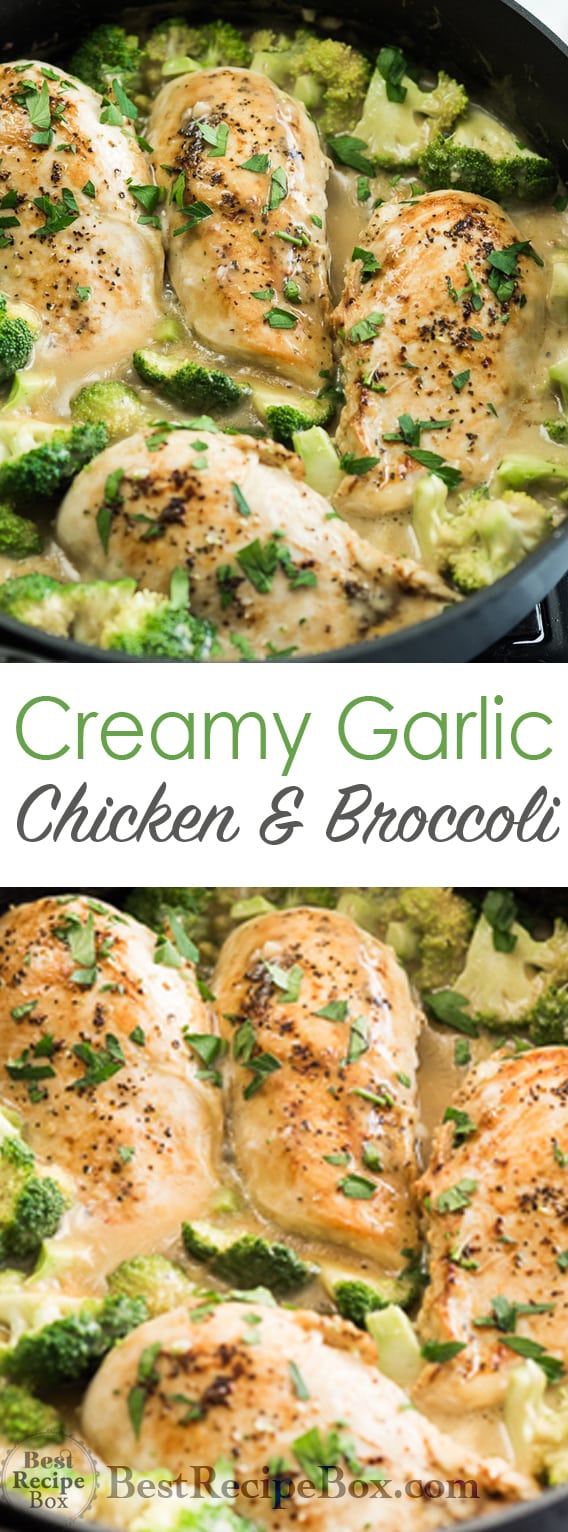 Creamy Garlic Chicken With Broccoli EASY ONE POT | Best Recipe Box