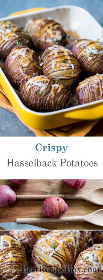 Crispy Hasselback Potatoes Recipe with Cheese Toppings | @bestrecipebox