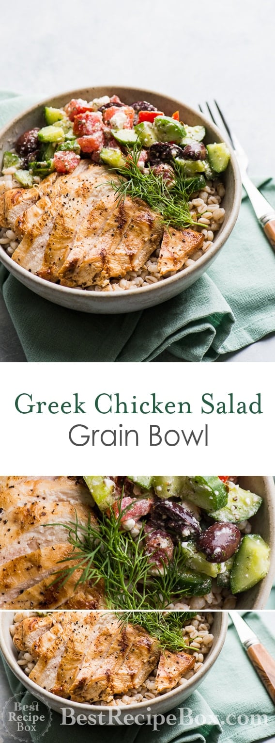 Grilled Greek Chicken Salad Grain Bowl Recipe | @bestrecipebox