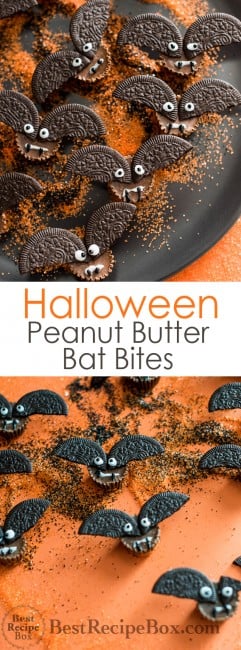 Halloween Bat Bites Chocolate Peanut Butter