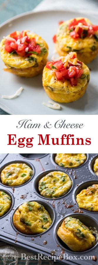 Ham Cheese Egg Muffins Recipe for Breakfast Brunch Recipes | @bestrecipebox