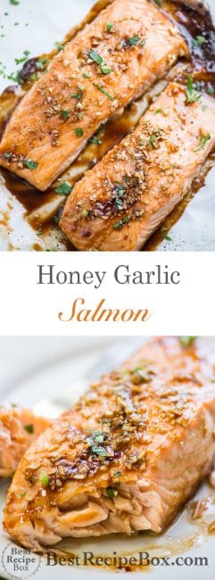 Easy Honey Garlic Salmon Recipe In 30 Minutes Best Recipe Box