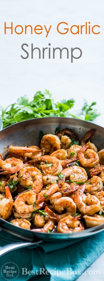 Easy Honey Garlic Shrimp Recipe in 20 minutes | @bestrecipebox