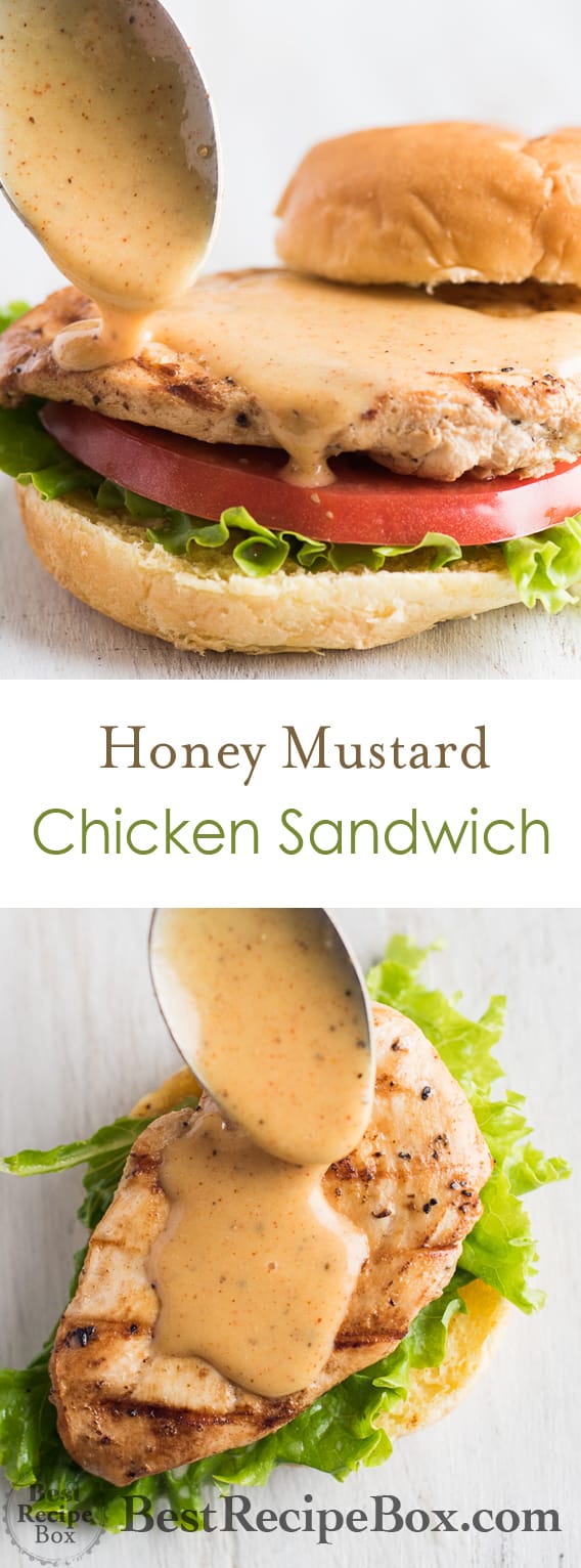 Grilled Chicken Sandwich Recipe with Honey Mustard Best Recipe Box