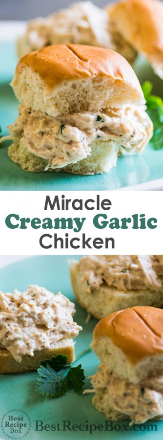 Miracle Creamy Garlic Chicken in Slow Cooker is AMAZING | @bestrecipebox