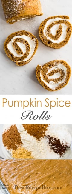 Pumpkin Spice Roll Cake with Creamy Cream Cheese Filling YUM! | @bestrecipebox