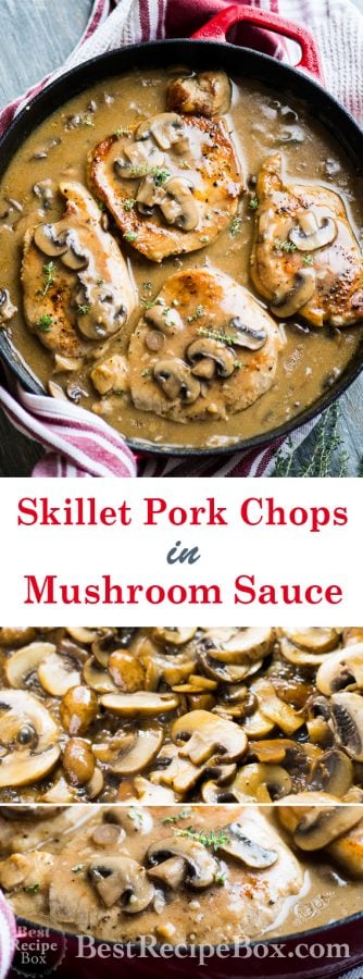 One Pot Pork Chops Mushroom Sauce Recipe | @bestrecipebox