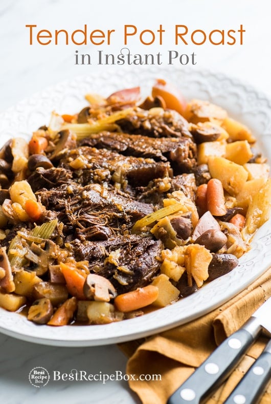 Pot Roast in Instant Pot Pressure Cooker on a plate
