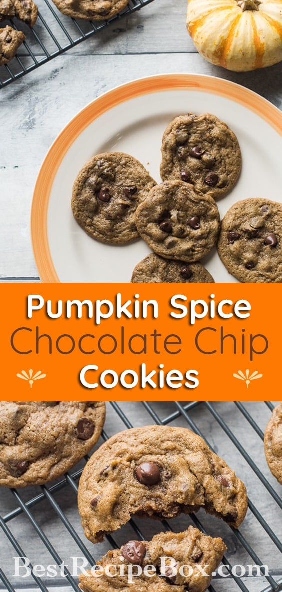 Pumpkin Spice Chocolate Chip Cookies for Thanksgiving and Holidays | @bestrecipebox