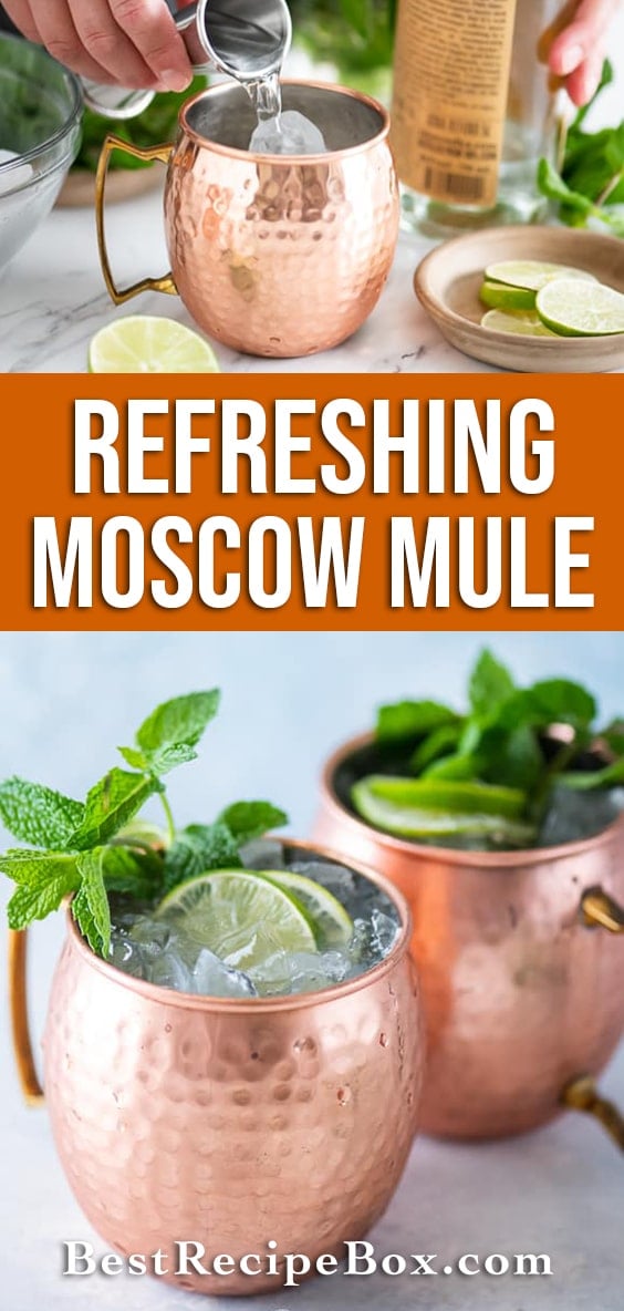 Best Moscow Mule Cocktail Recipe with Vodka, Ginger Beer | BestRecipeBox.com
