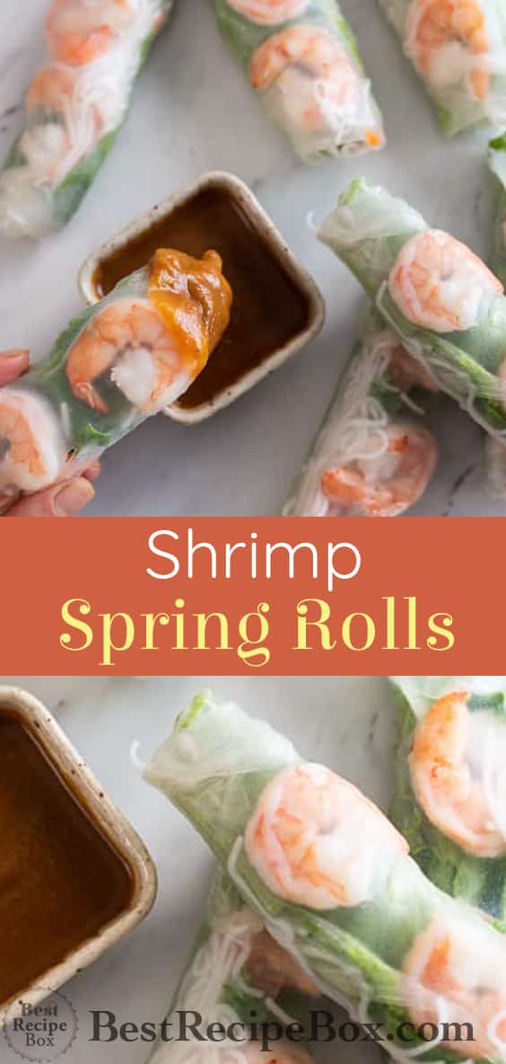 Vietnamese Fresh Shrimp Spring Rolls recipe @bestrecipebox
