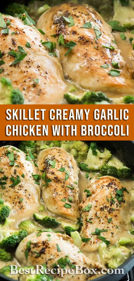 Skillet Creamy Garlic Chicken and Broccoli everyone will love! | @bestrecipebox