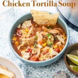 bowl of slow cooker chicken tortilla soup