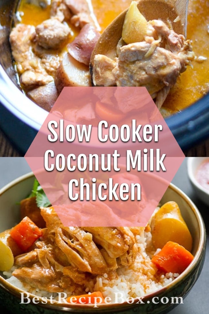 Slow Cooker Coconut Milk Chicken Recipe full of Ginger flavors! | @bestrecipebox