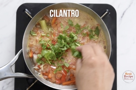 Adding chopped cilantro on top of soup in pot