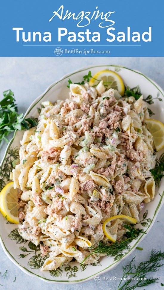 Easy Tuna Pasta Salad Recipe on a plate
