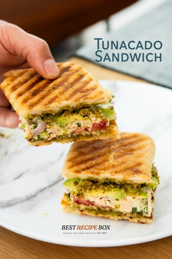 holding tunacado sandwich half