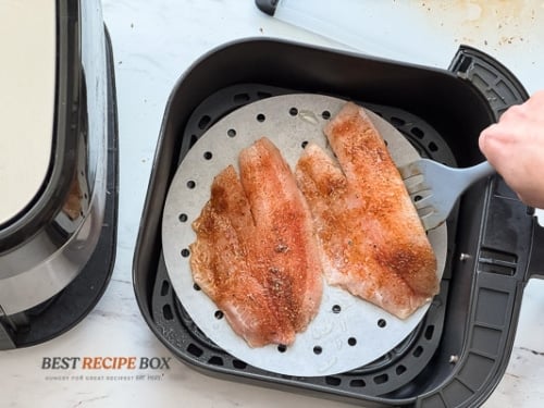 raw seasoned fish in air fryer basket